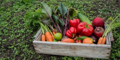 Productos agrícolas Comprar precio venta información promoción Perú Colombia Venezuela Ecuador Brasil Chile Paraguay Uruguay MexicoIComprar precio venta información promoción Perú Colombia Venezuela Ecuador Brasil Chile Paraguay Uruguay MexicoIP Comprar precio venta información promoción Perú Colombia Venezuela Ecuador Brasil Chile Paraguay Uruguay Mexico