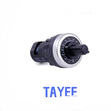 Tayee