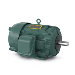 Motor 661XL 75 CV ABB Baldor-Reliance IP56