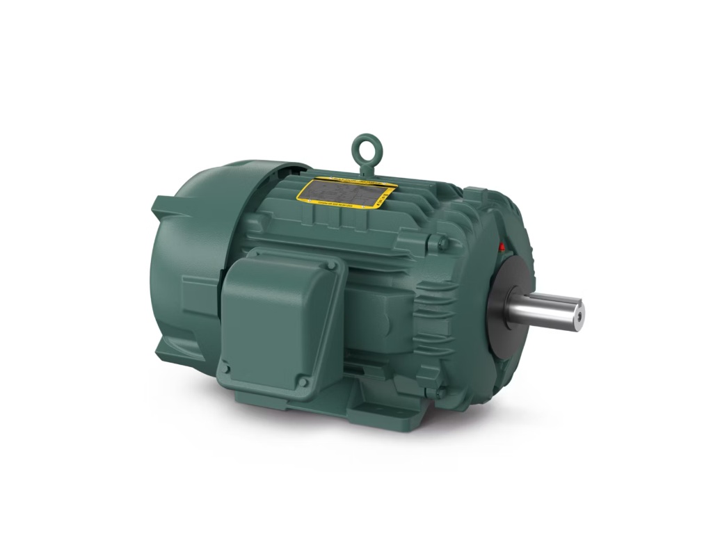 Motor 661XL 75 CV ABB Baldor-Reliance IP56